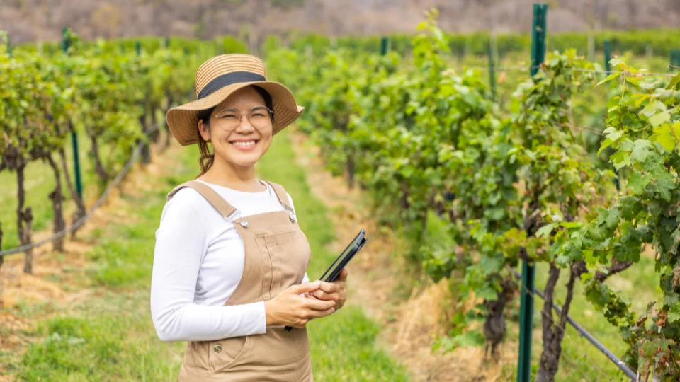 Balik Pinoy: Building HR Tech That Actually Works for Filipino Businesses